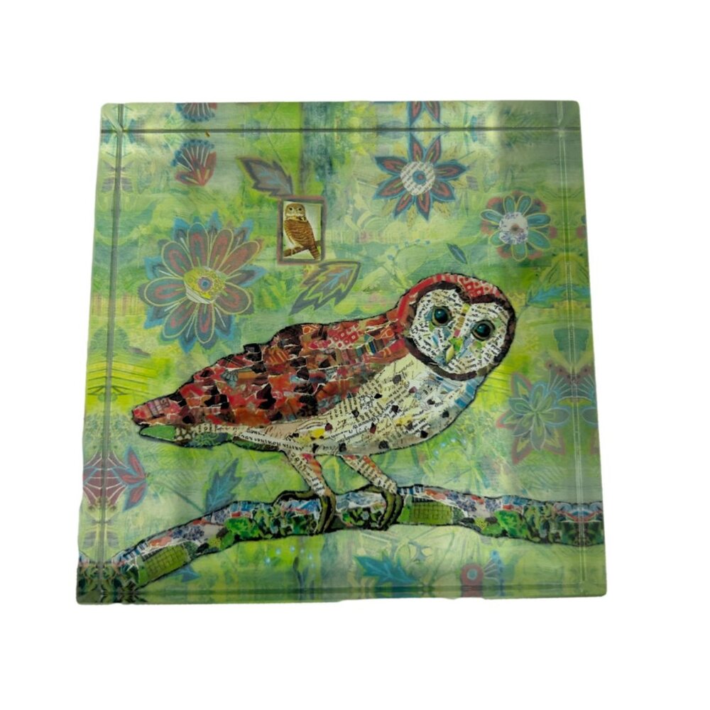 Creative Co-op Owl Acrylic Paperweight Green Orange Whimsical Desk Office Decor